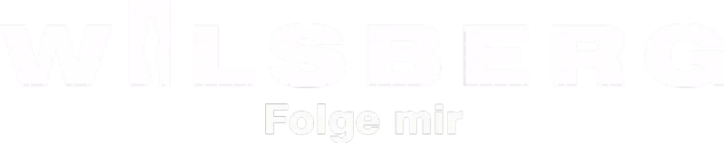 Wilsberg - Folge mir