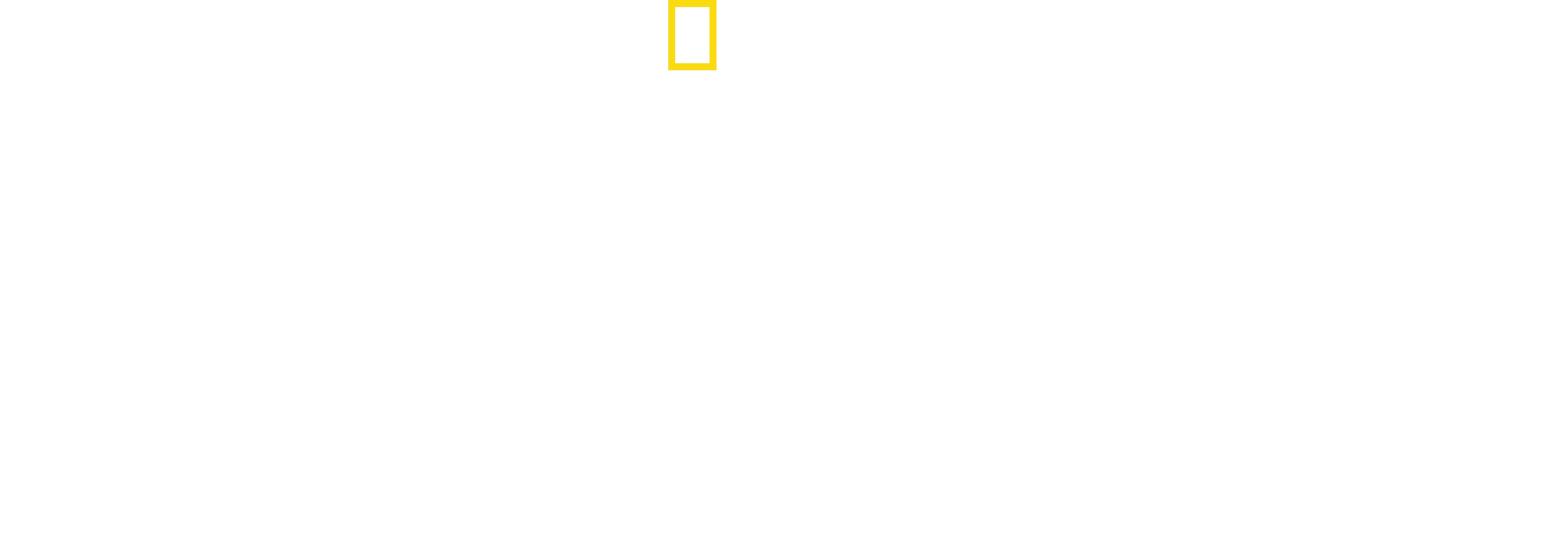 El Planeta de las Aves