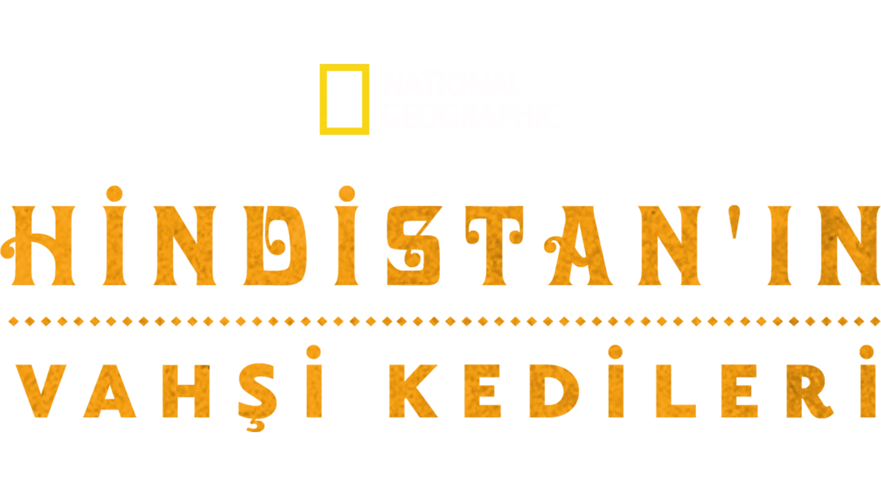 Hindistan'ın Vahşi Kedileri