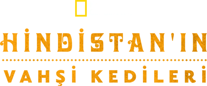 Hindistan'ın Vahşi Kedileri