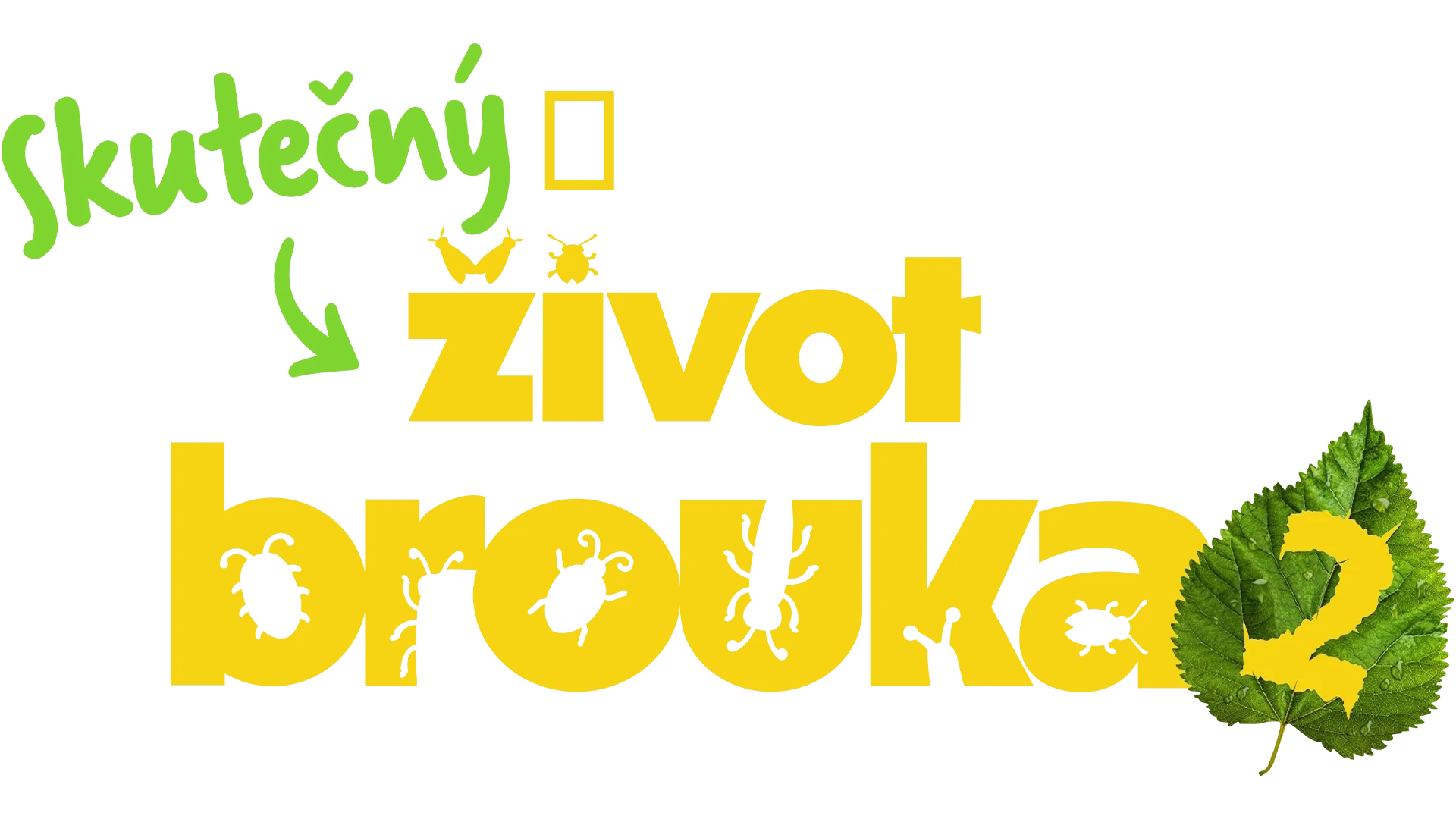 Skutečný život brouka