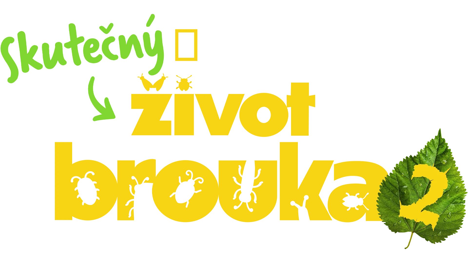 Skutečný život brouka