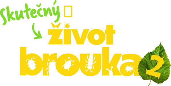 Skutečný život brouka