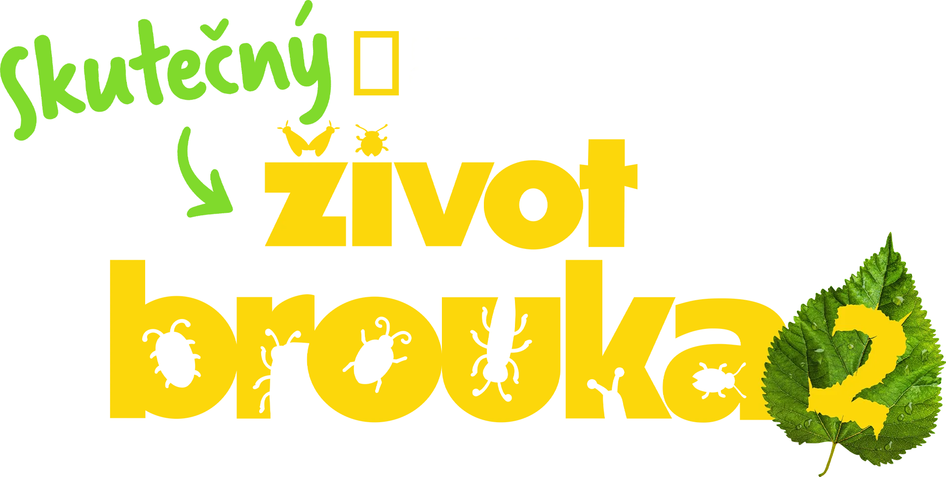 Skutečný život brouka