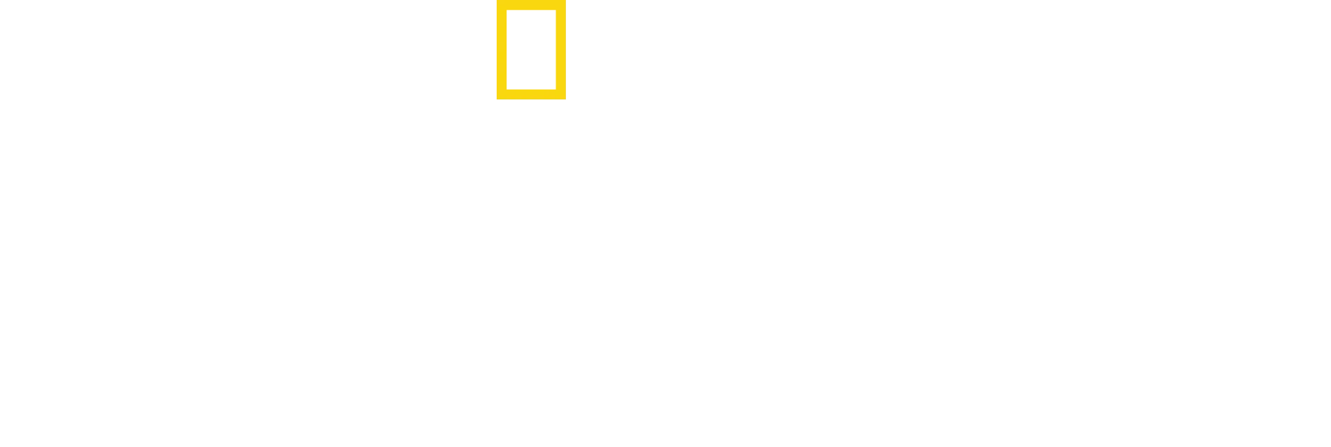 Şempanzelerin Dünyası