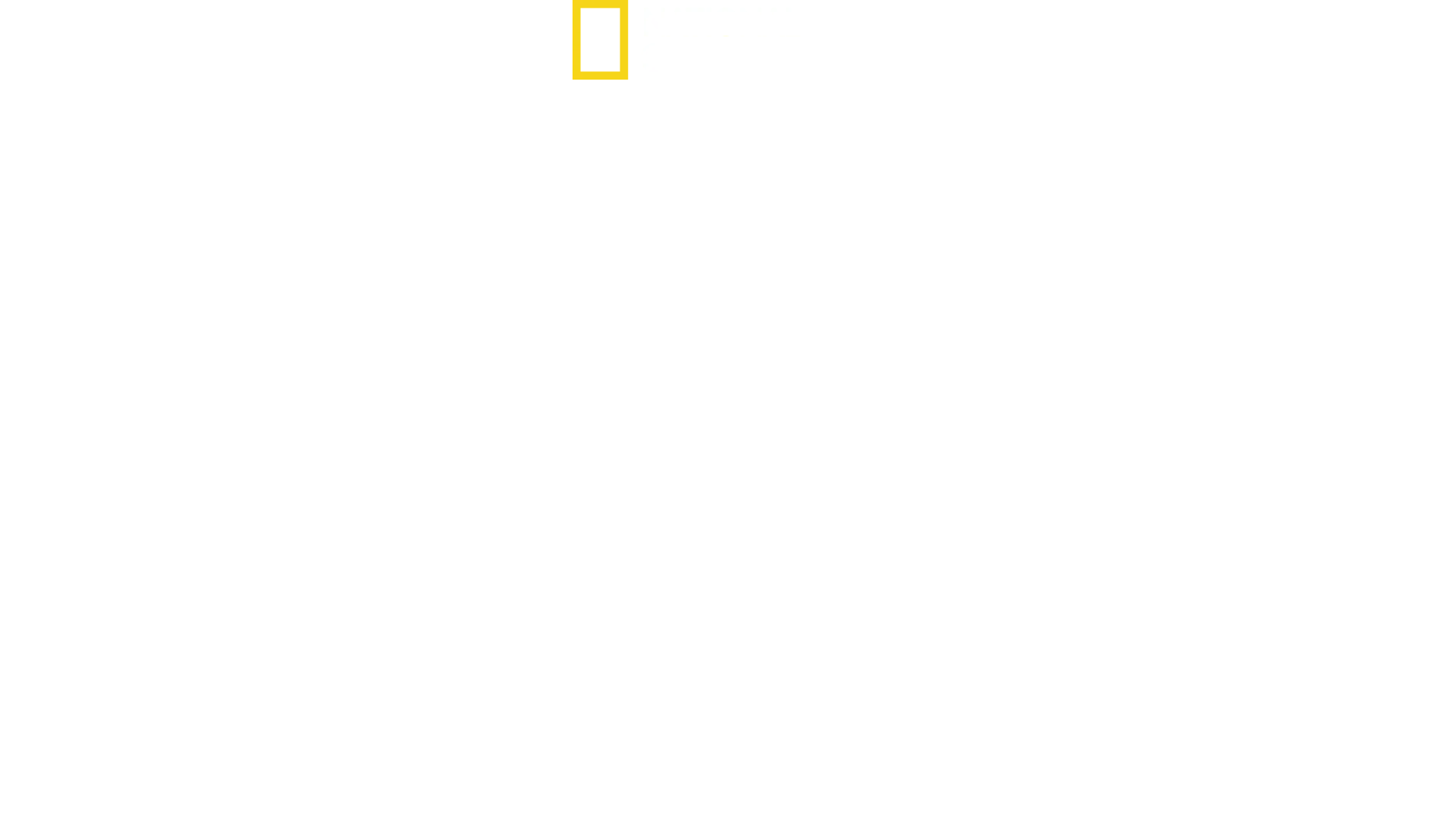 Südamerikas tierische Freaks
