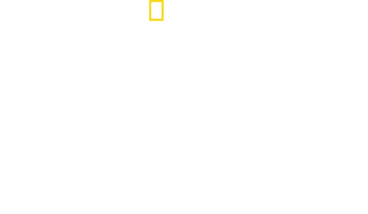 Südamerikas tierische Freaks