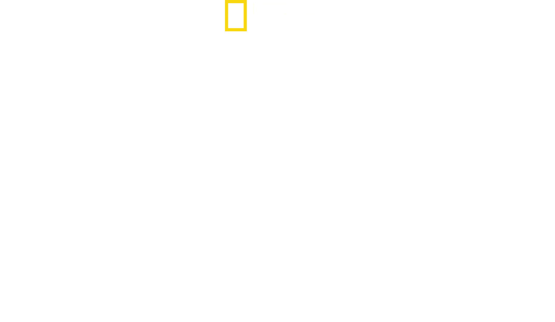 Südamerikas tierische Freaks
