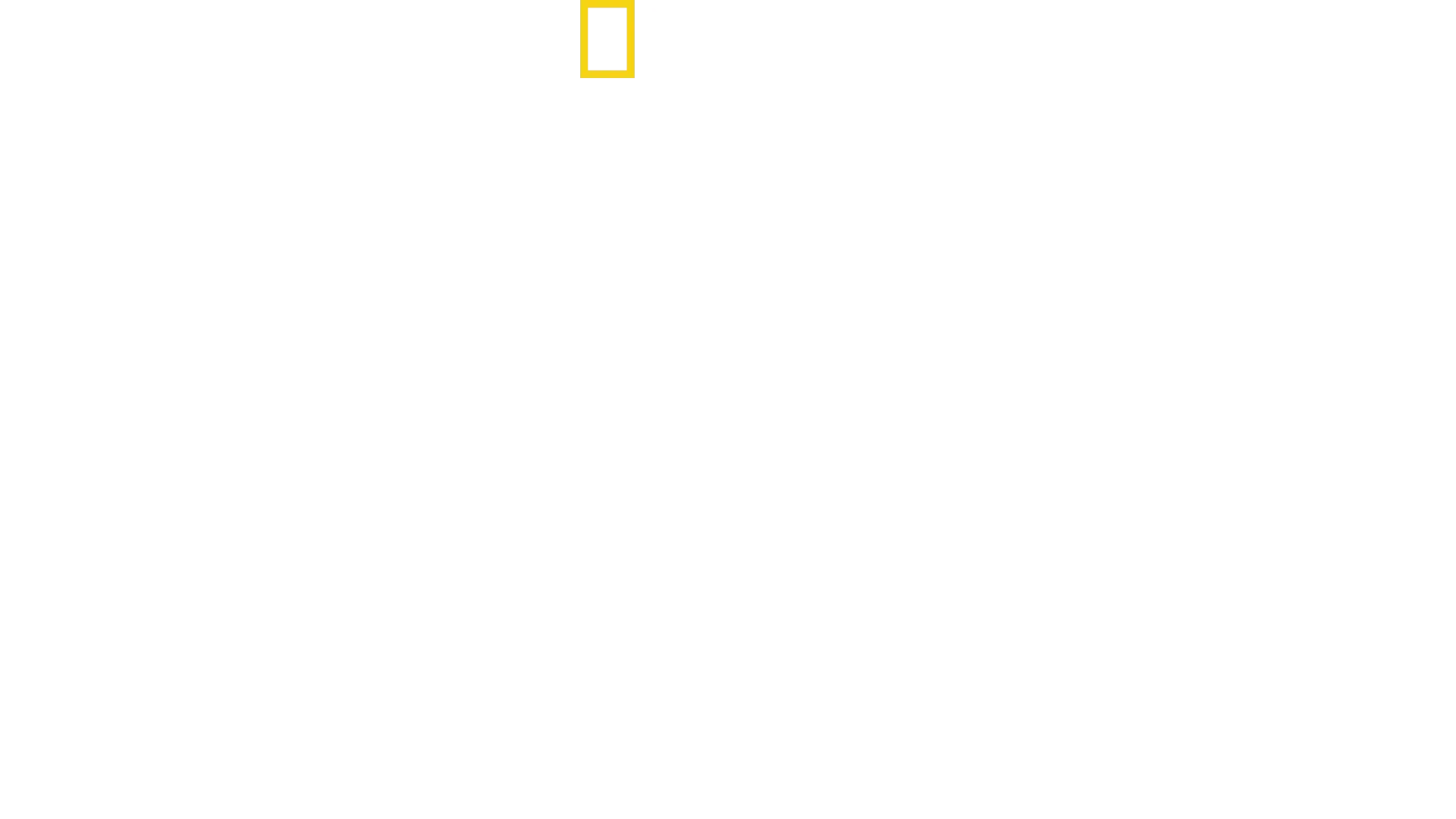 Jane Goodall: Håpet