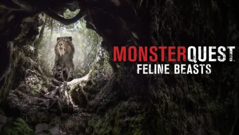 thumbnail - MonsterQuest: Feline Beasts