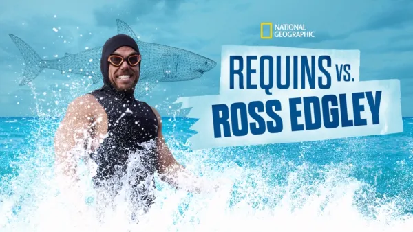 thumbnail - Ross Edgley vs Requins