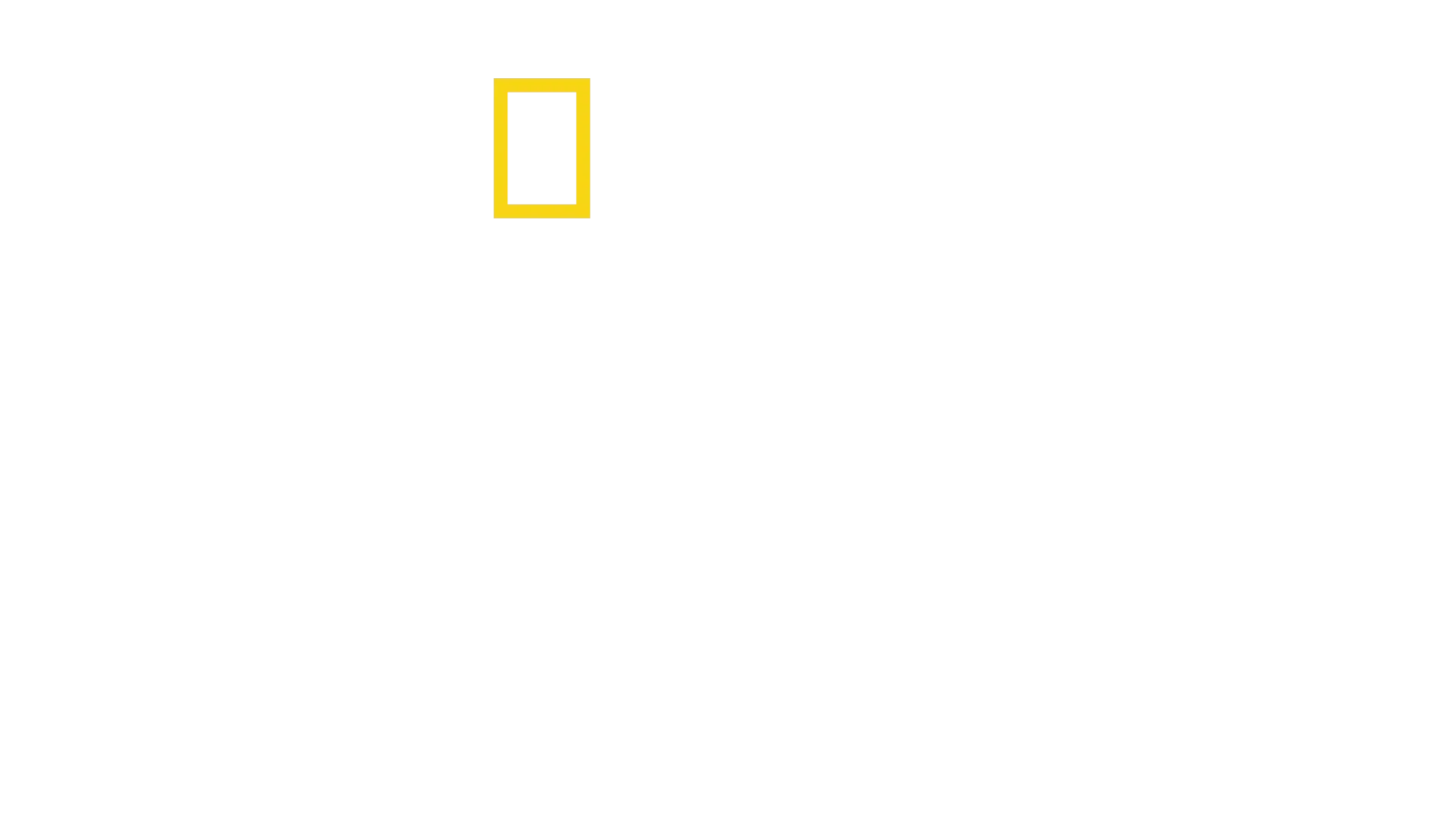 Expedition Amelia