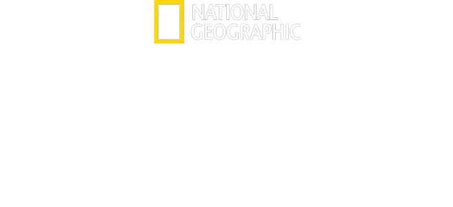 Expedition Amelia