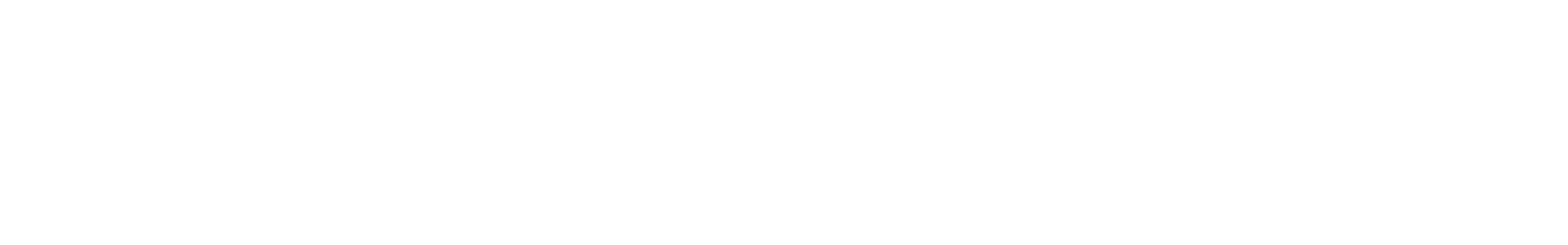 Konzultant
