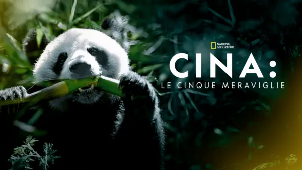 thumbnail - Cina: Le Cinque Meraviglie