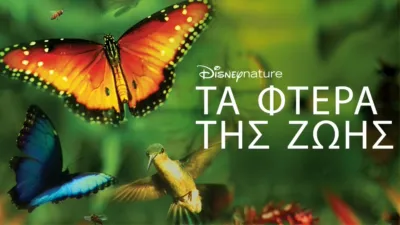 Τα Φτερά της Ζωής