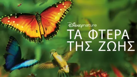 thumbnail - Τα Φτερά της Ζωής