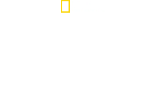 衝撃の瞬間 巨大災害