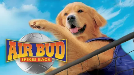 thumbnail - Buddy: El gran remate