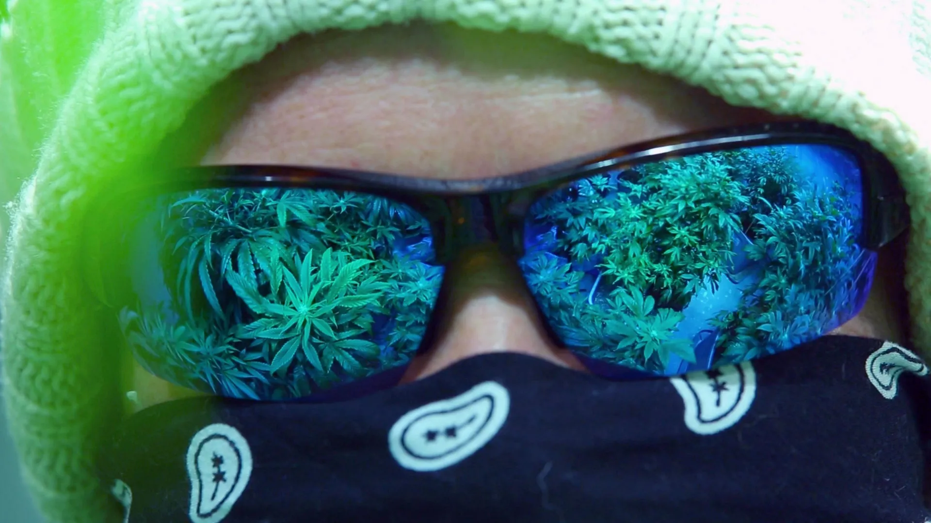 thumbnail - S7:E14 Boston Weed Party
