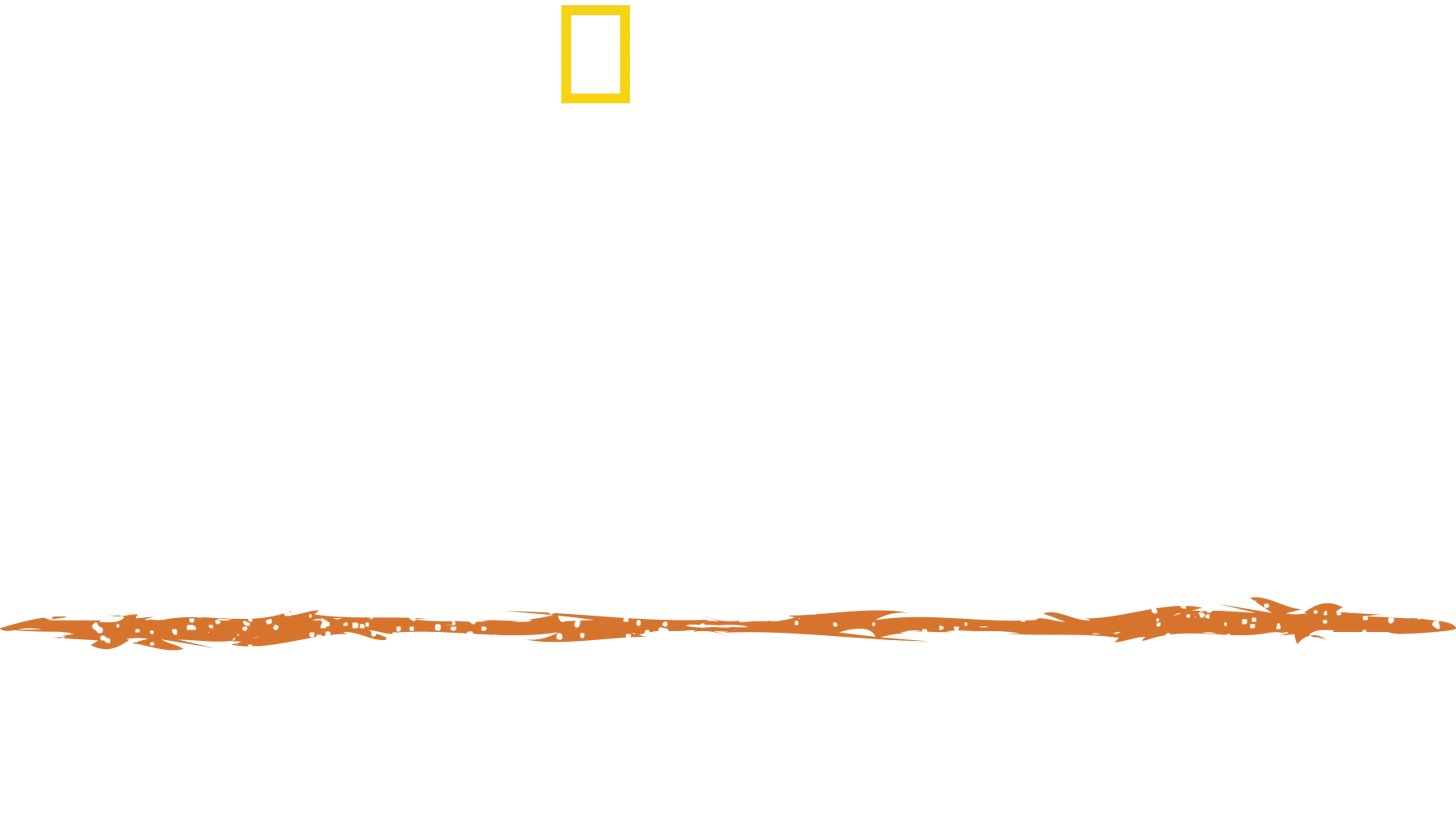 Sobrevivente Primitivo com Hazen Audel: Os Andes