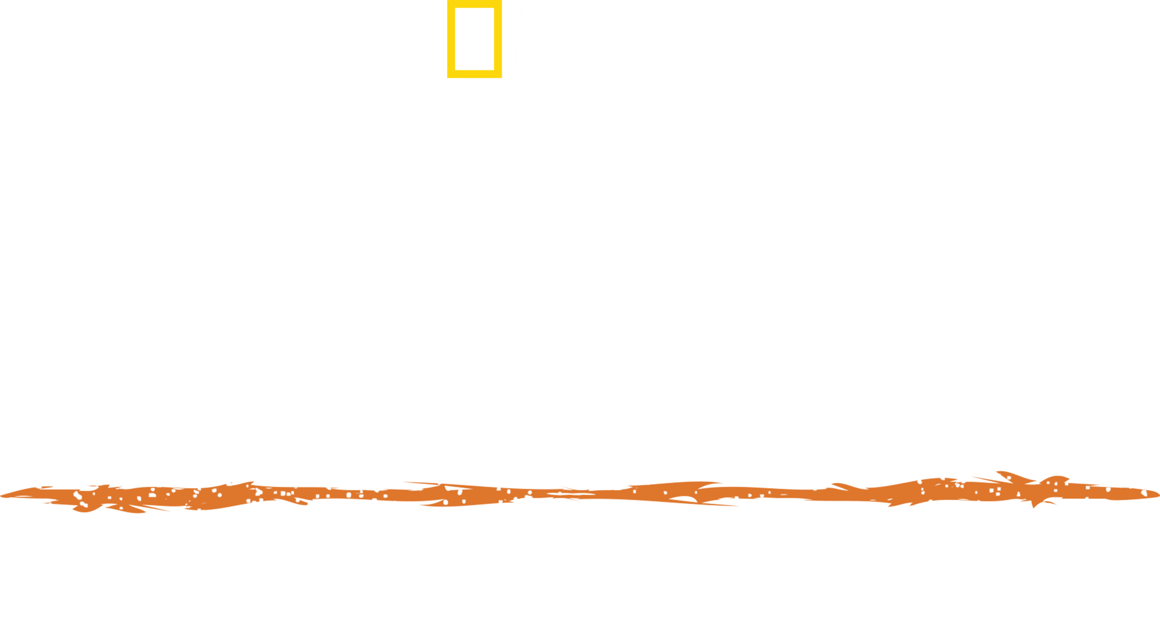 Sobrevivente Primitivo com Hazen Audel: Os Andes