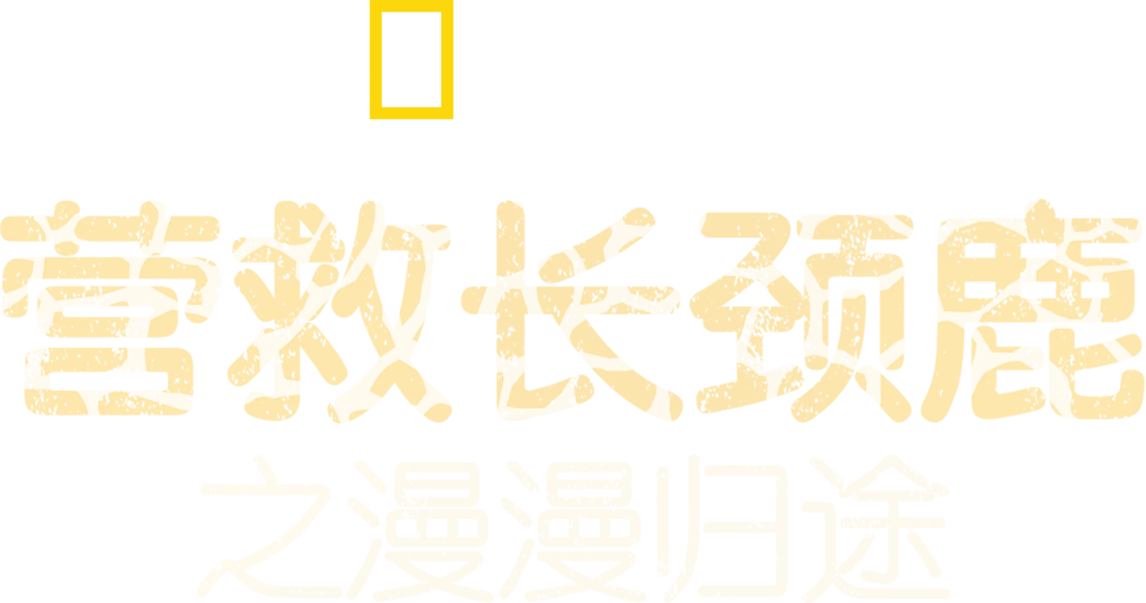 营救长颈鹿之漫漫归途