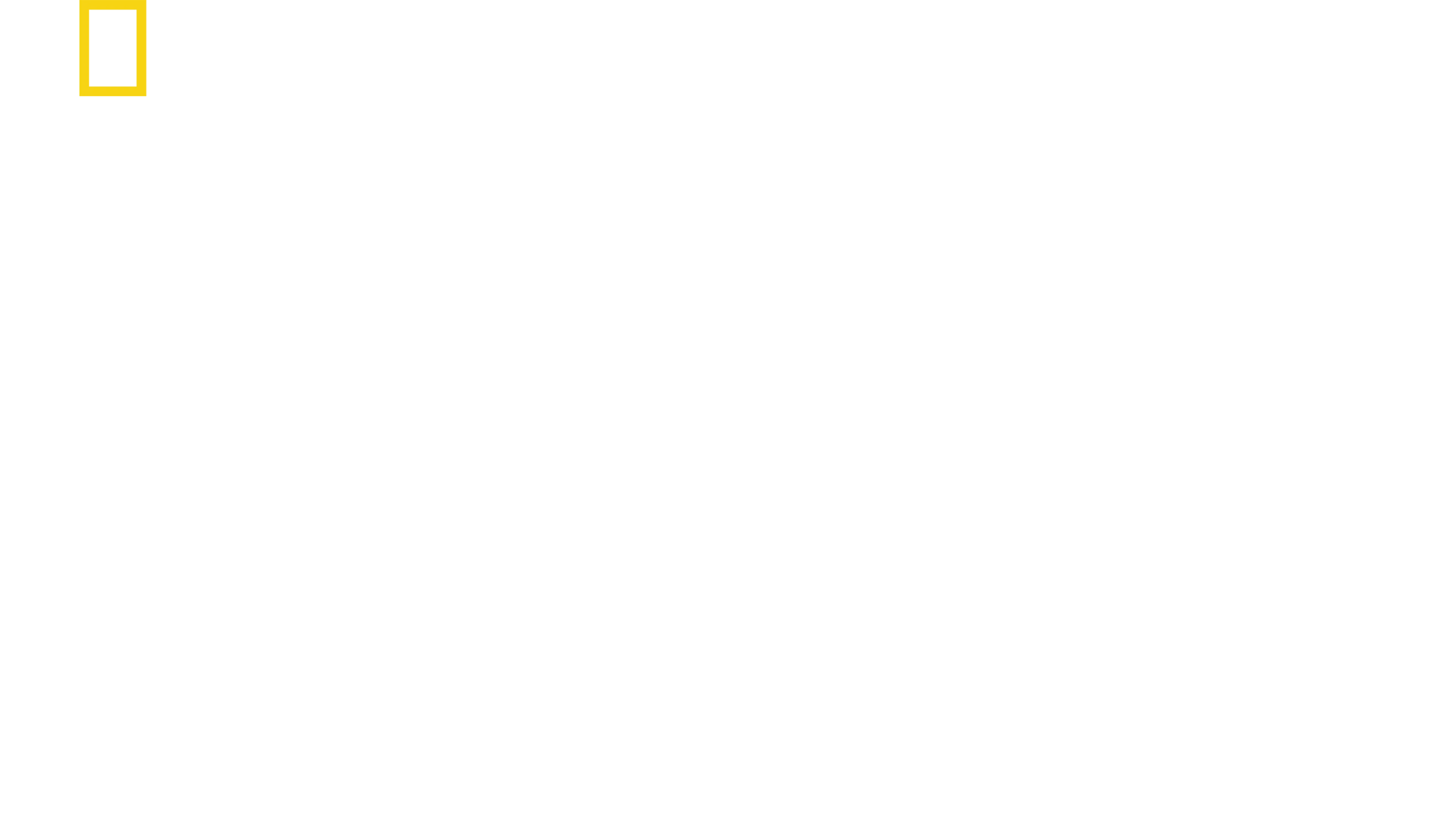 상어 vs 고래