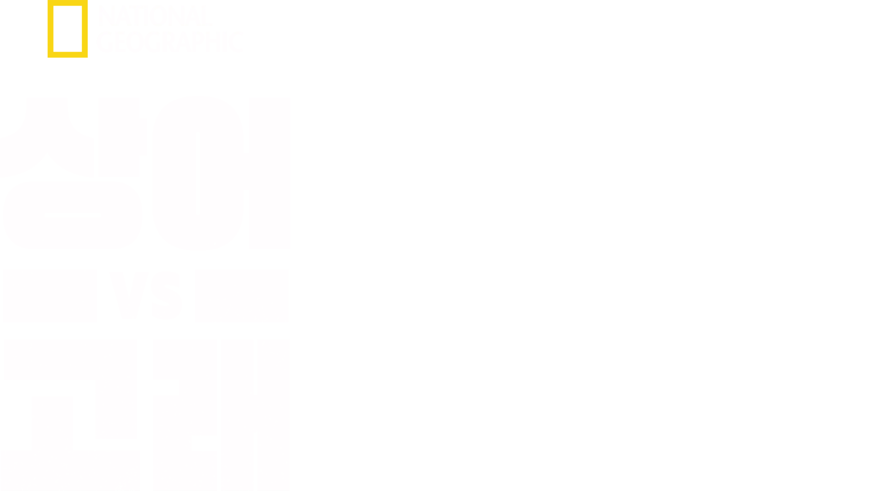 상어 vs 고래