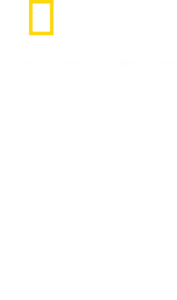 상어 vs 고래