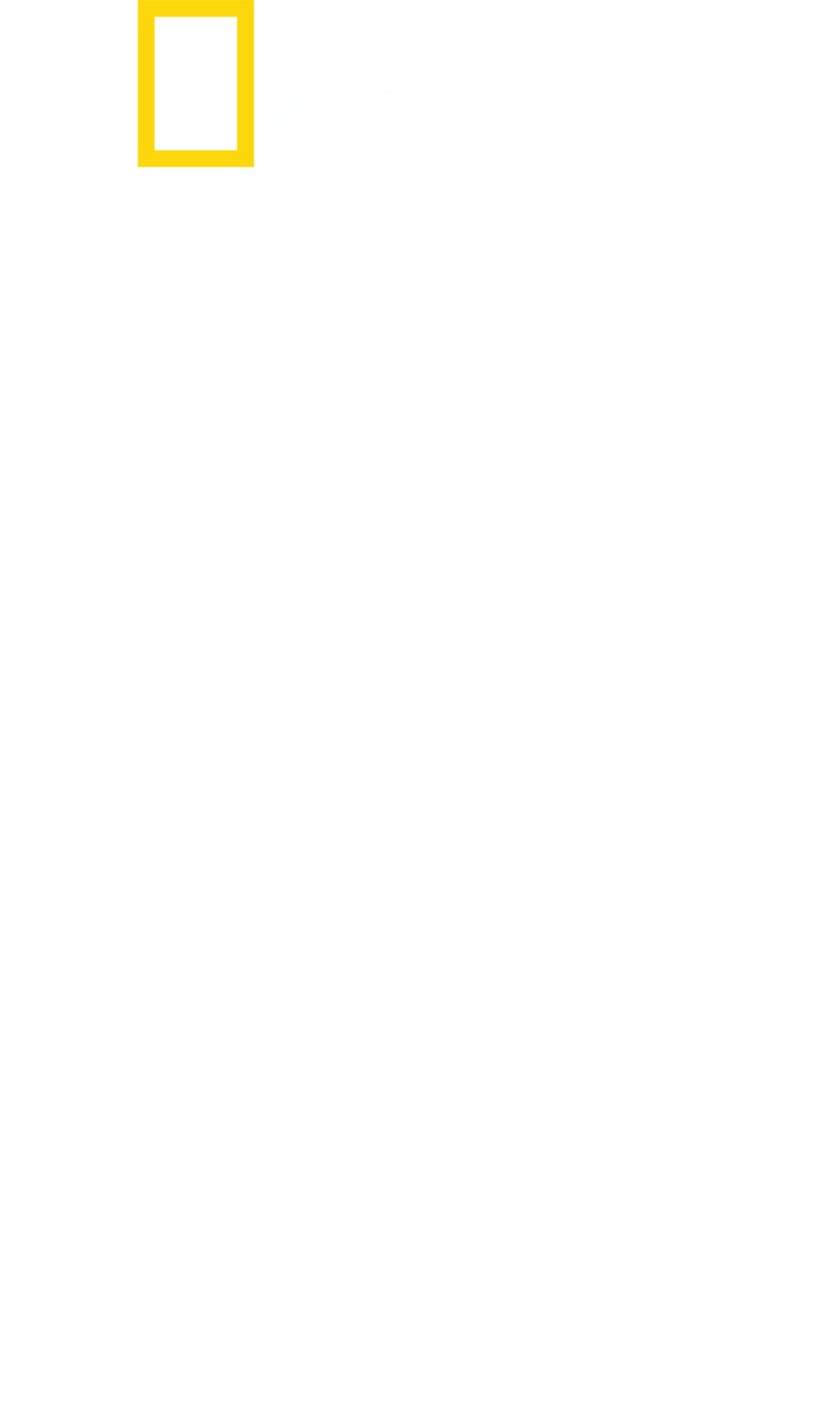 상어 vs 고래