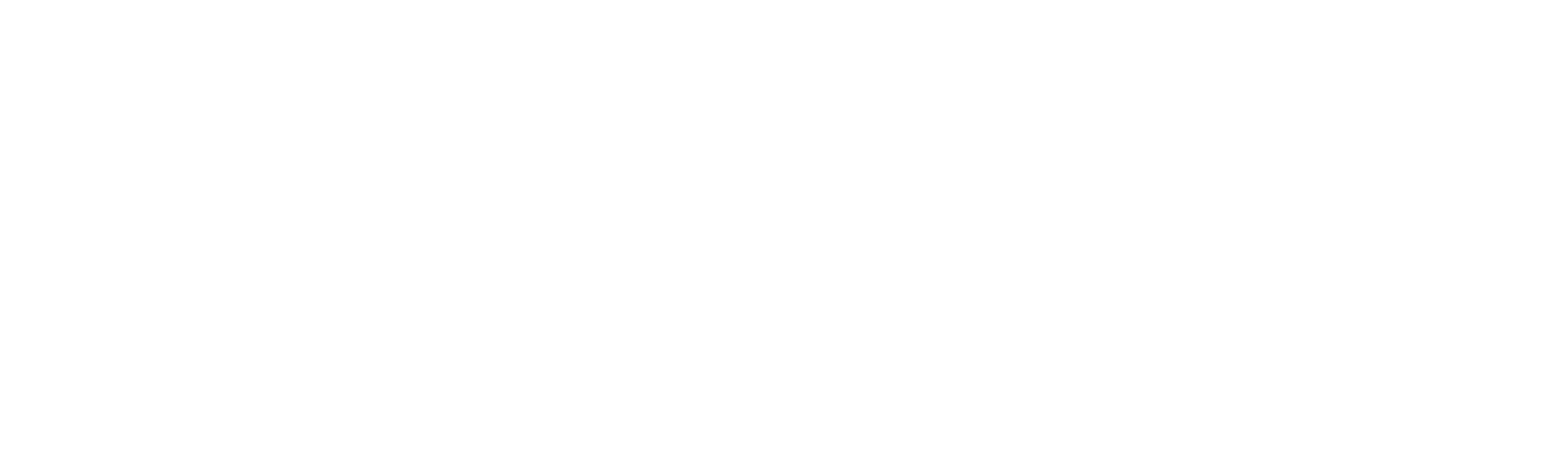 How to Train Your Dragon: Snoggletog Log