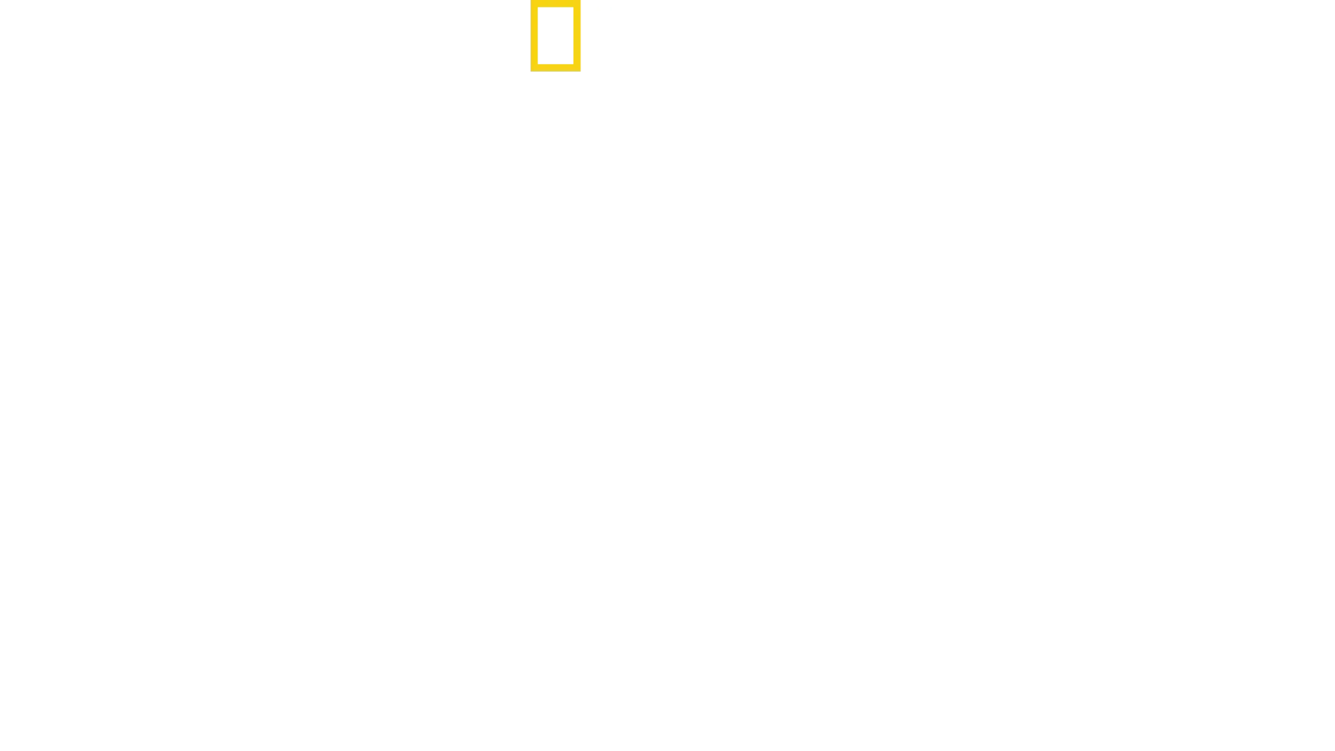Jane Goodall: Håbet