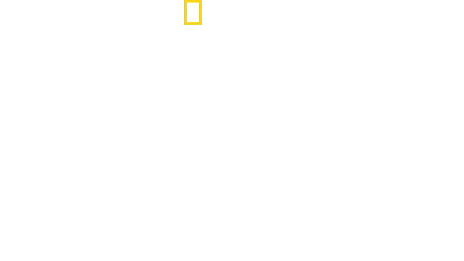 Jane Goodall: Håbet