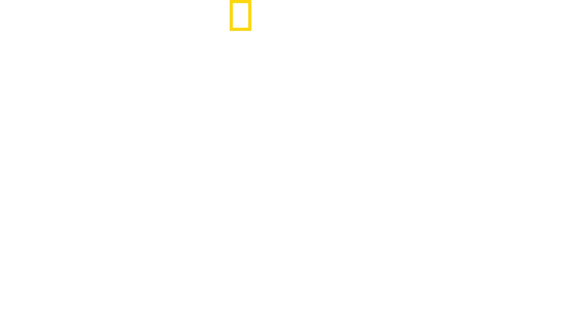 Jane Goodall: Håbet