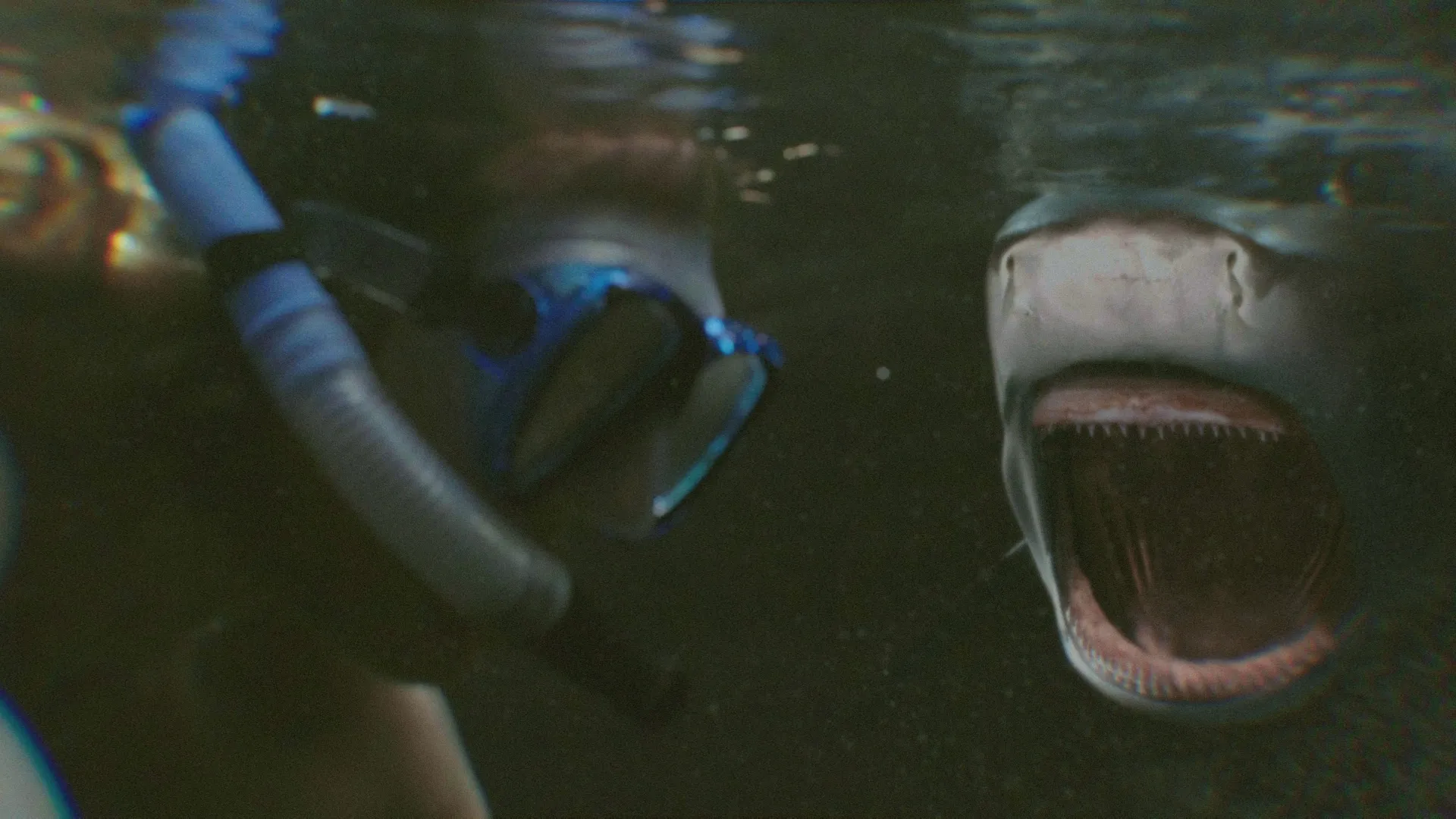 thumbnail - S6:E5 Blood in the Water