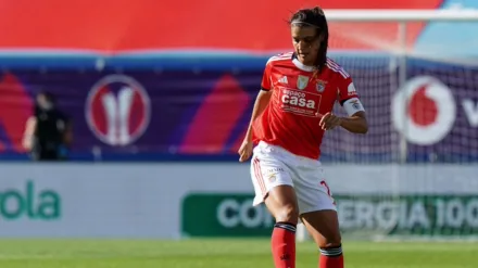 UEFA WCL Highlights: Benfica v Arsenal FC