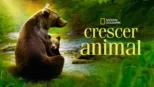 thumbnail - Crescer Animal