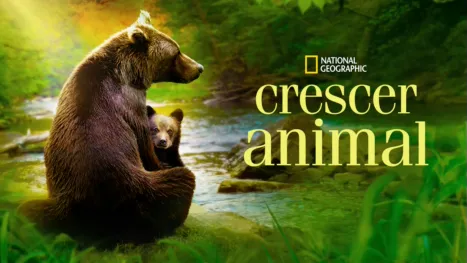 thumbnail - Crescer Animal