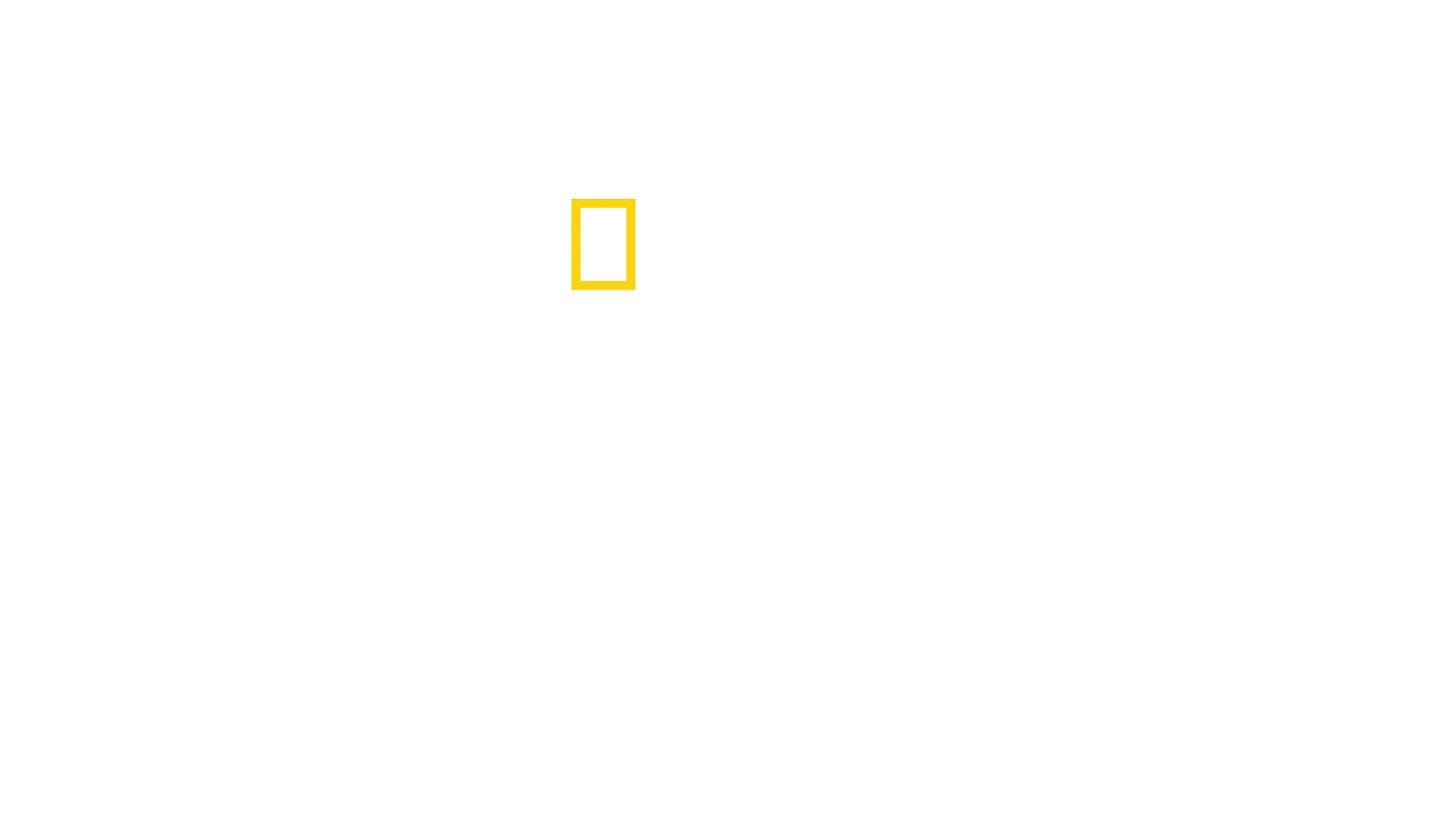 Akashinga: Statečné strážkyně
