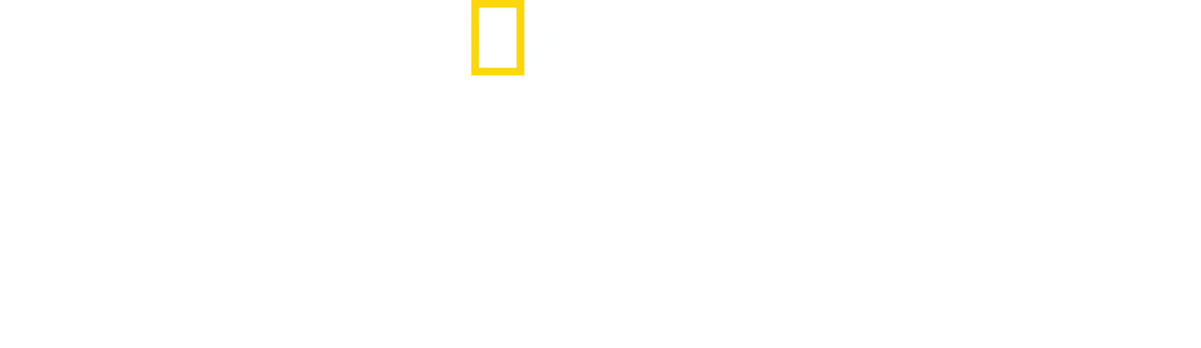 Akashinga: Statečné strážkyně