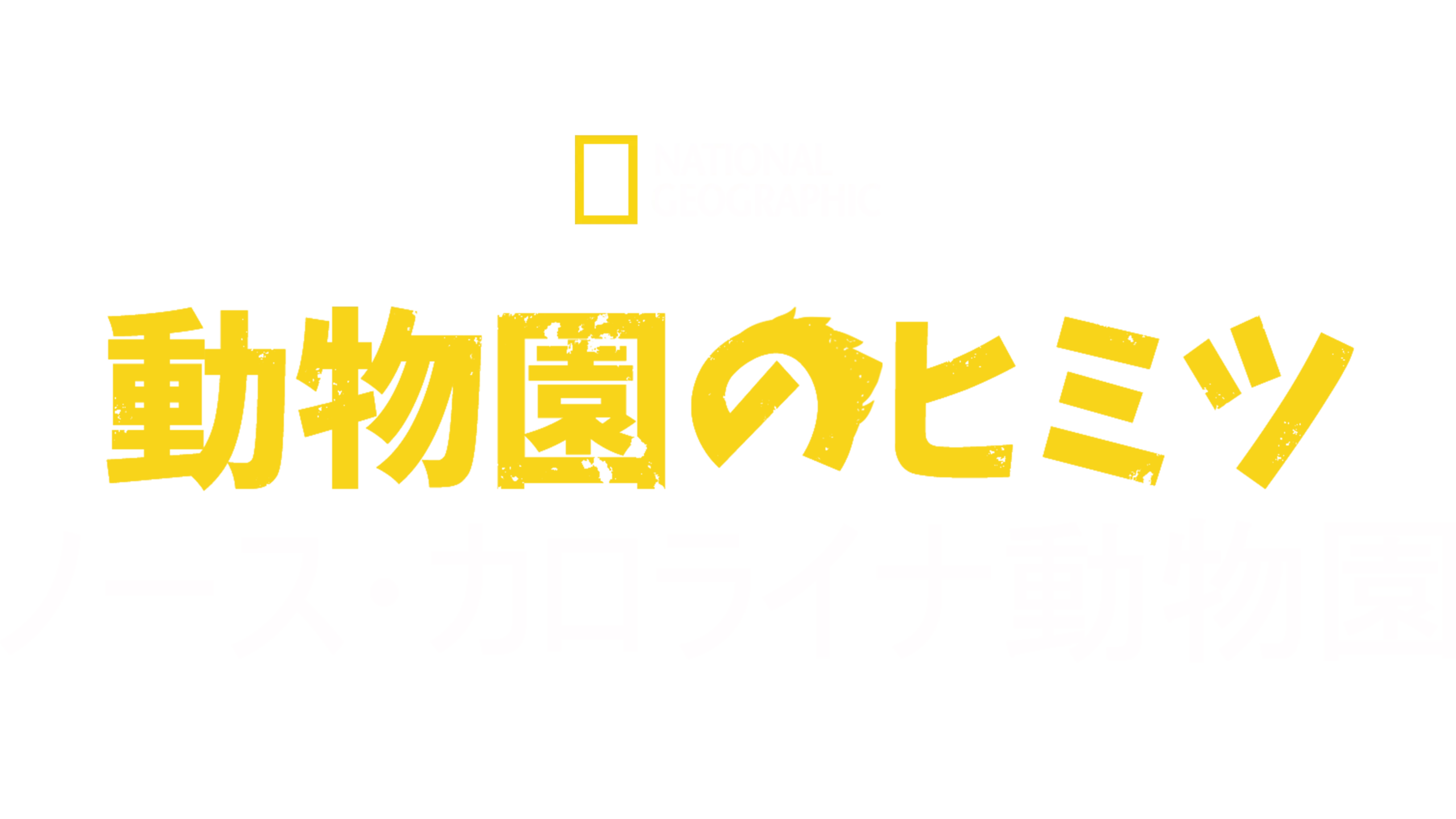 動物園のヒミツ：ノース・カロライナ動物園