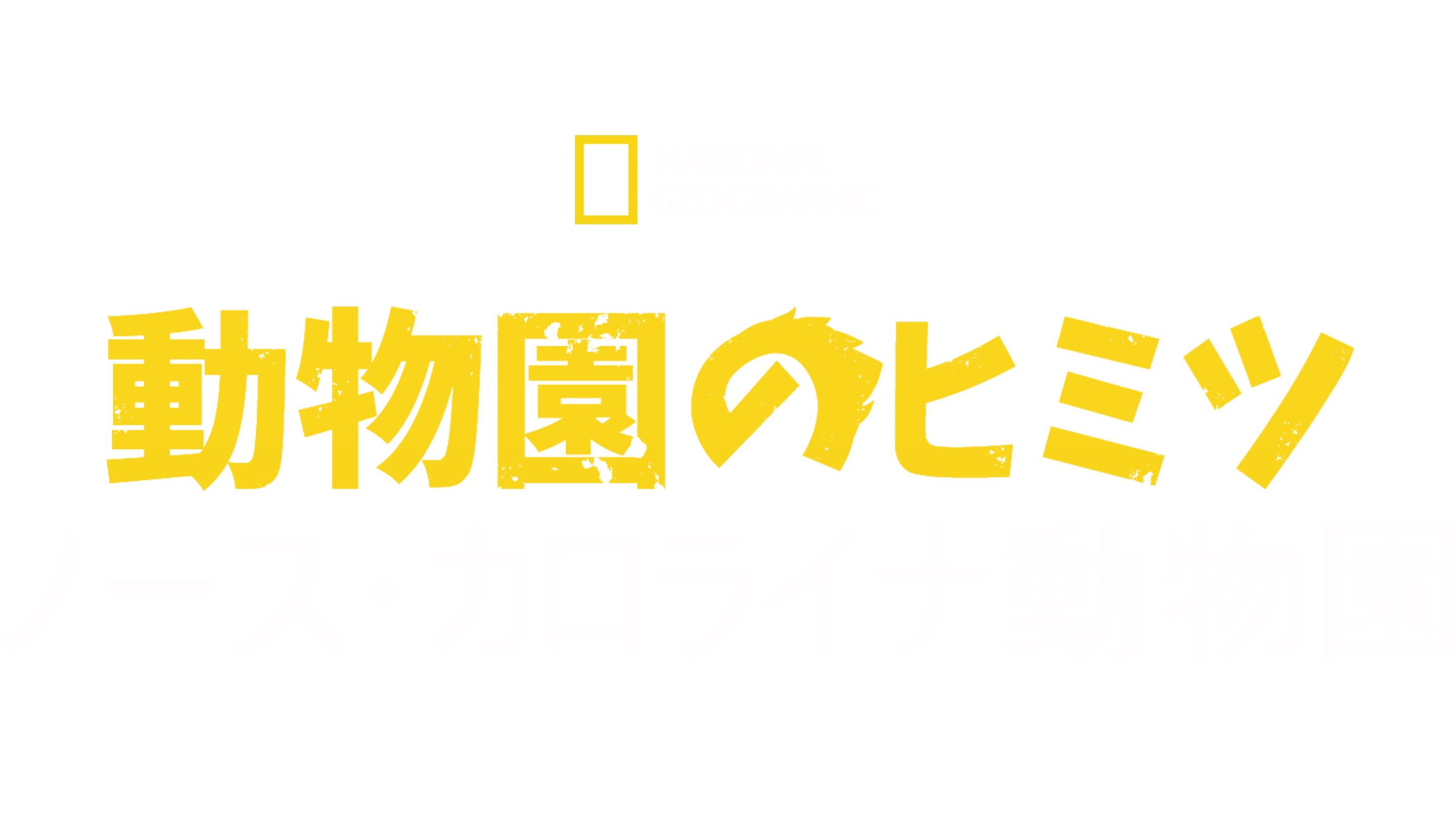 動物園のヒミツ：ノース・カロライナ動物園