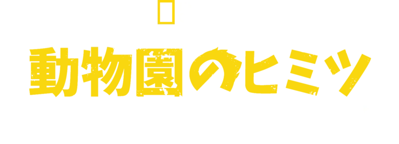 動物園のヒミツ：ノース・カロライナ動物園
