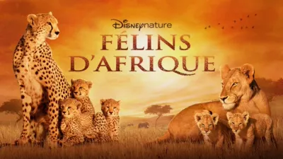Félins d’Afrique