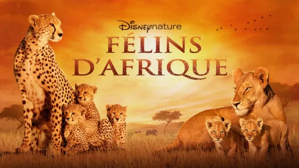 thumbnail - Félins d’Afrique
