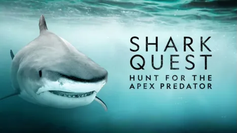 thumbnail - Shark Quest: Hunt for the Apex Predator