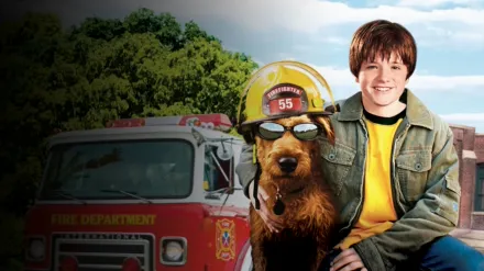 Firehouse Dog