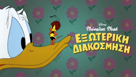 thumbnail - Εξωτερική Διακόσμηση