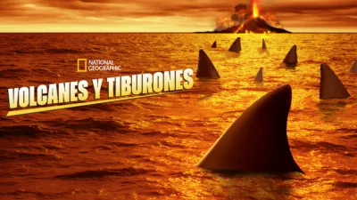 Volcanes y tiburones